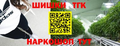 индика Лесосибирск